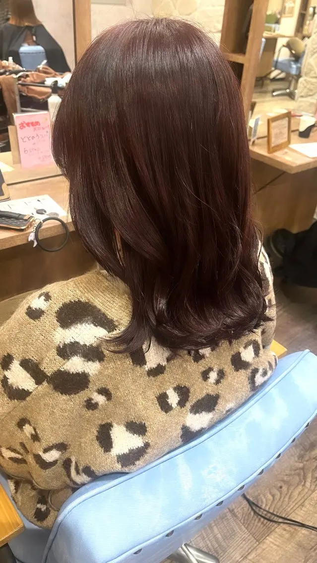 【💖期間限定💖】🎀カット+1カラー🎀の写真