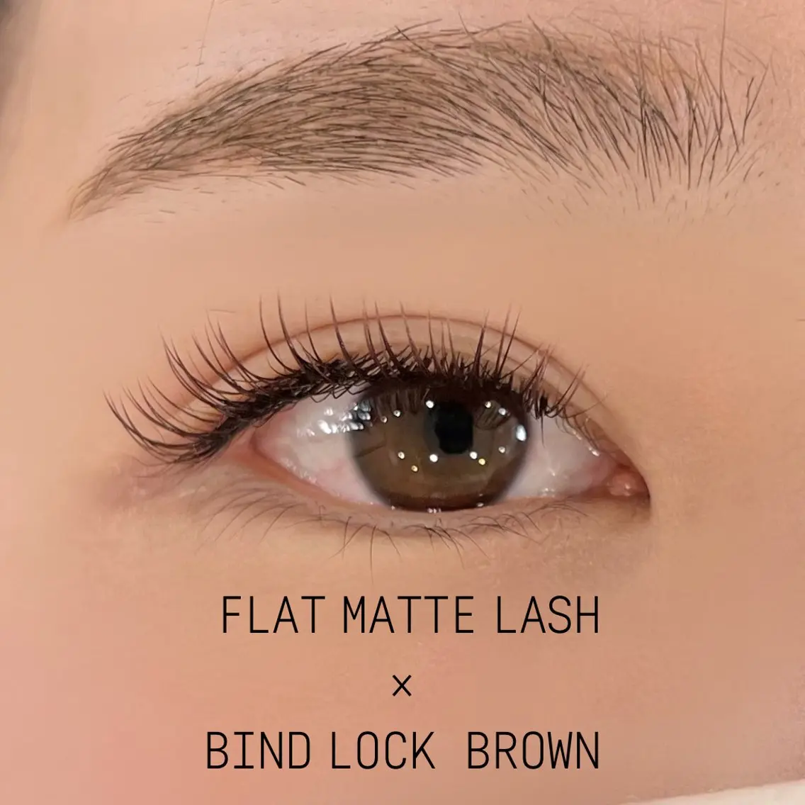 マツエク・マツパ マツエク eyelashZen ♥️HIMEのマツエク・マツパデザイン