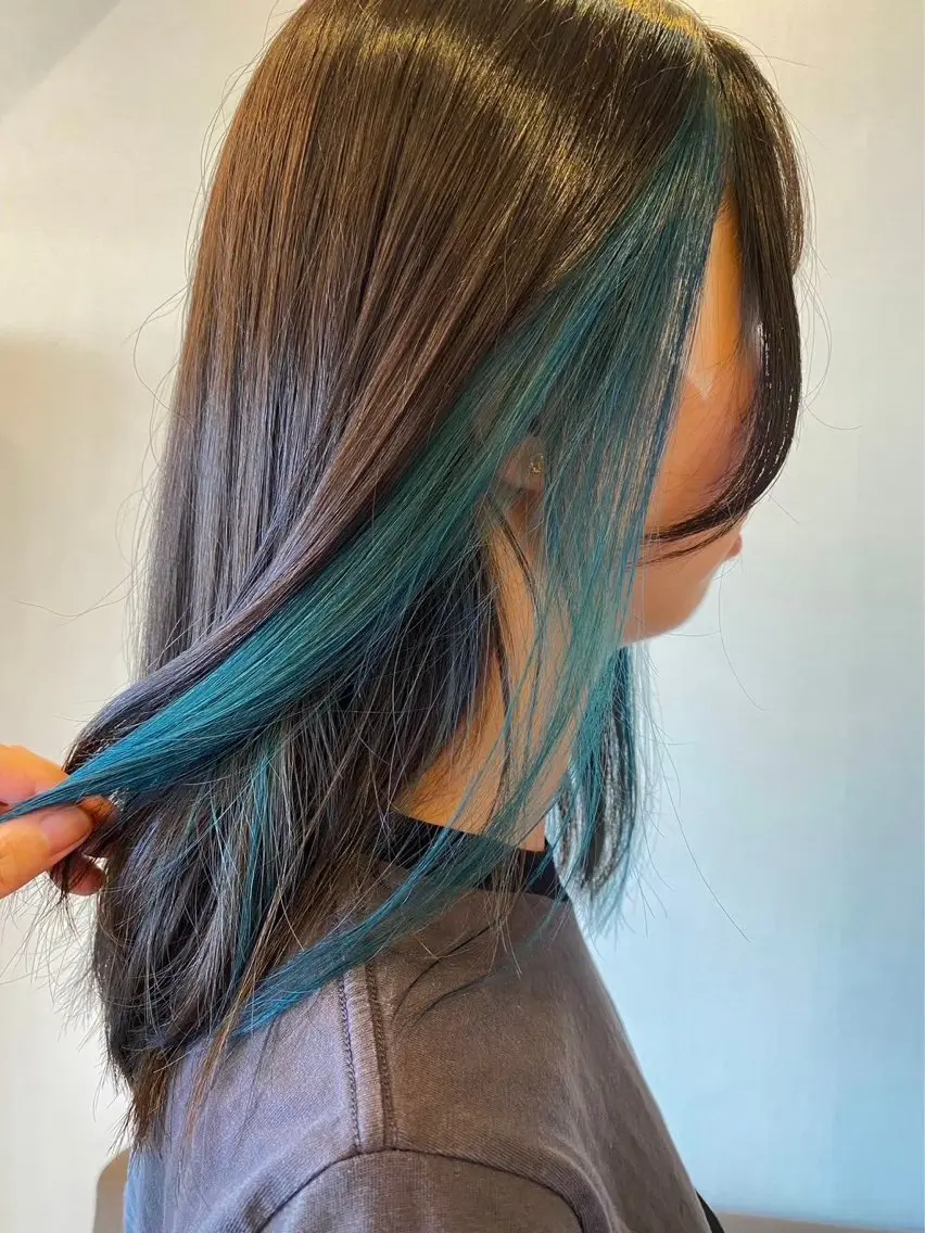 セミロング カラー デザインカラー インナーカラー 臺 佳連のヘアスタイル