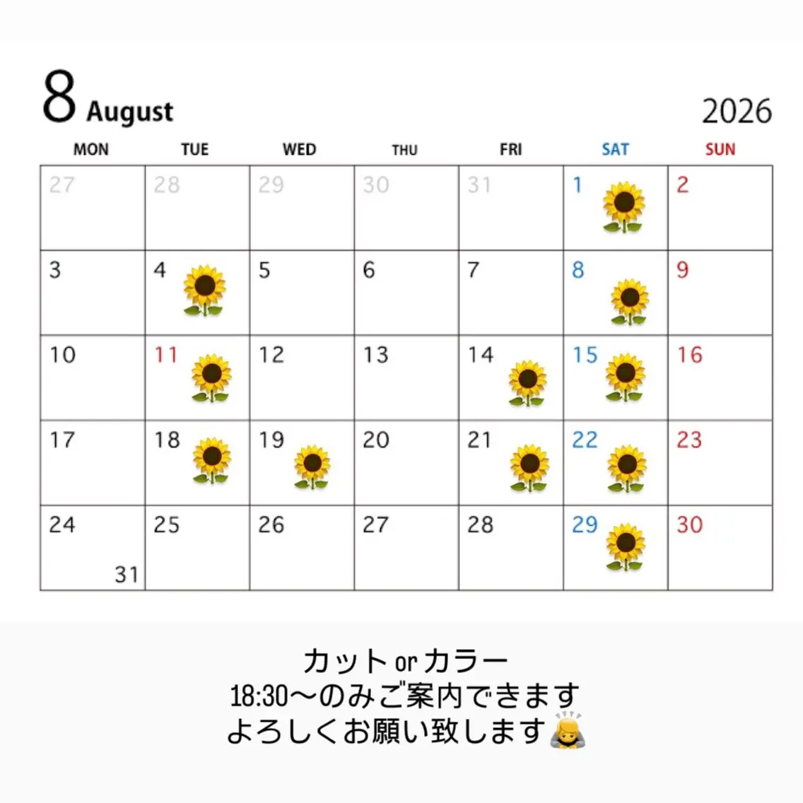 カラー イシカワ ノゾミのヘアスタイル