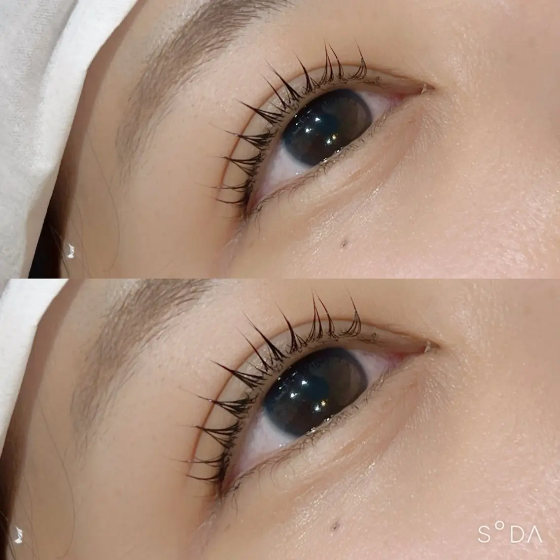 マツエク・マツパ パリジェンヌラッシュリフト EYELA 池袋 なかだ まゆのマツエク・マツパデザイン