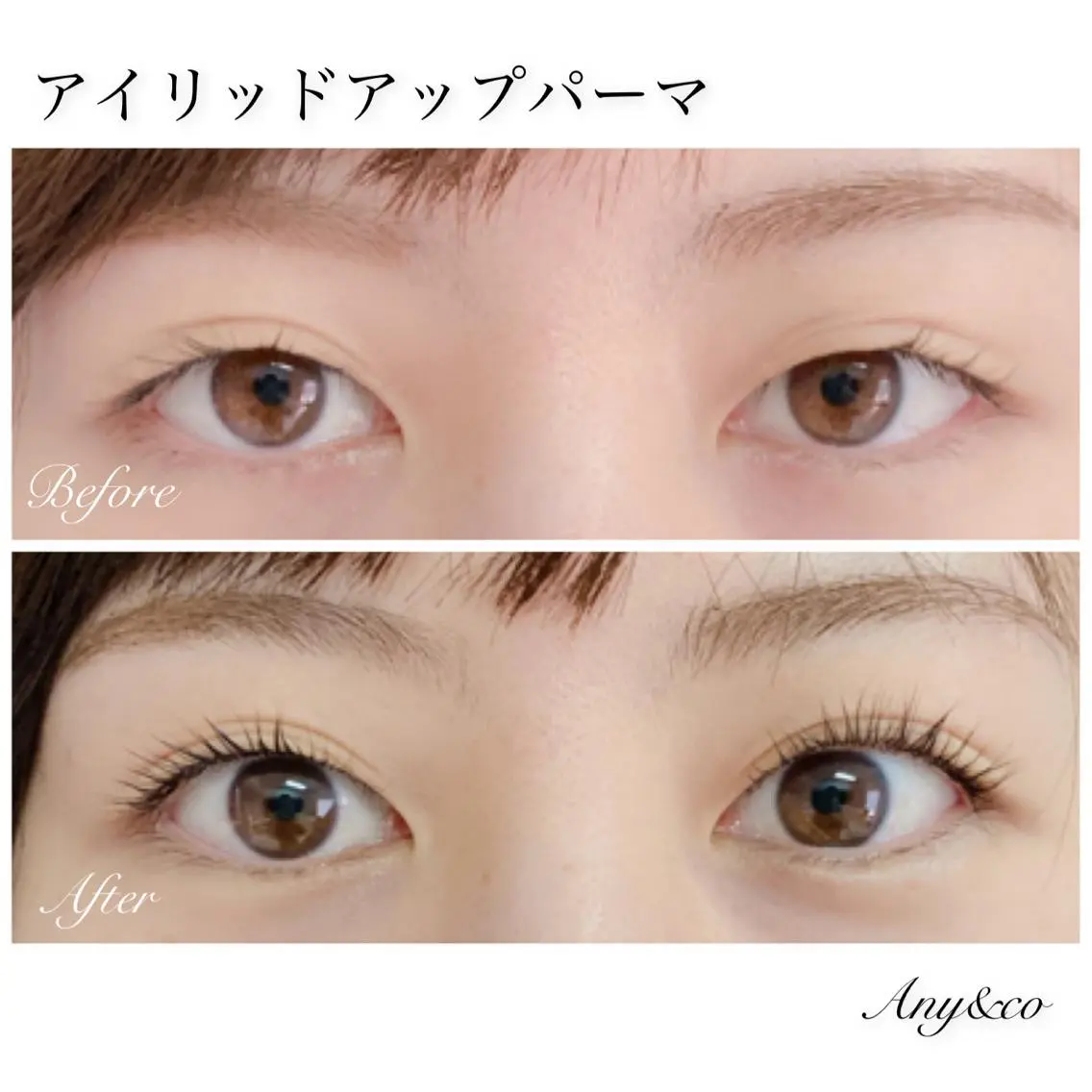 🖤特別価格🖤まつ毛トリートメント&美容液コーティング付アイリッドアップ&ダウンパーマ🌷の写真
