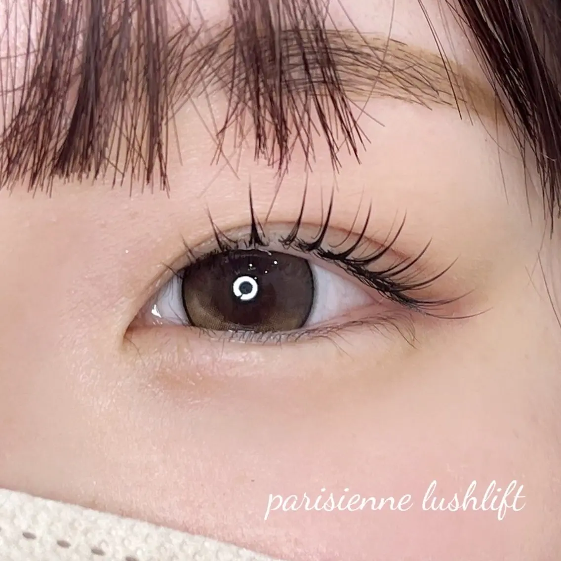 ミニモ限定💎パリジェンヌラッシュリフト🫧7100円→2900円【アイパック付き】の写真