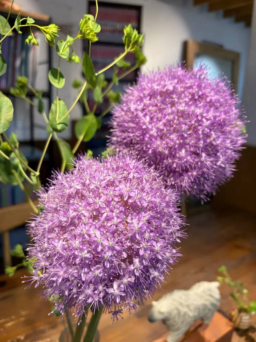 中村 芽衣那のヘアスタイル