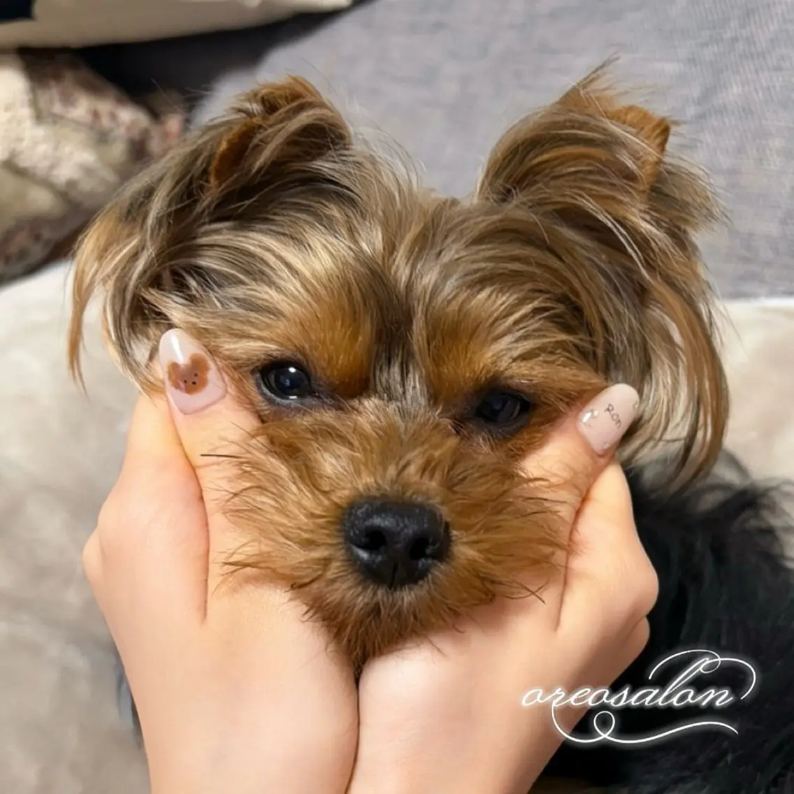 ネイル ハート 春ネイル oreo salon miyu 池袋のネイルデザイン