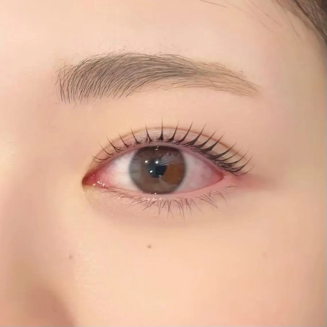 [ナチュラル可愛くなりたい人オススメ👀🌼]まつ毛パーマ⭐️の写真