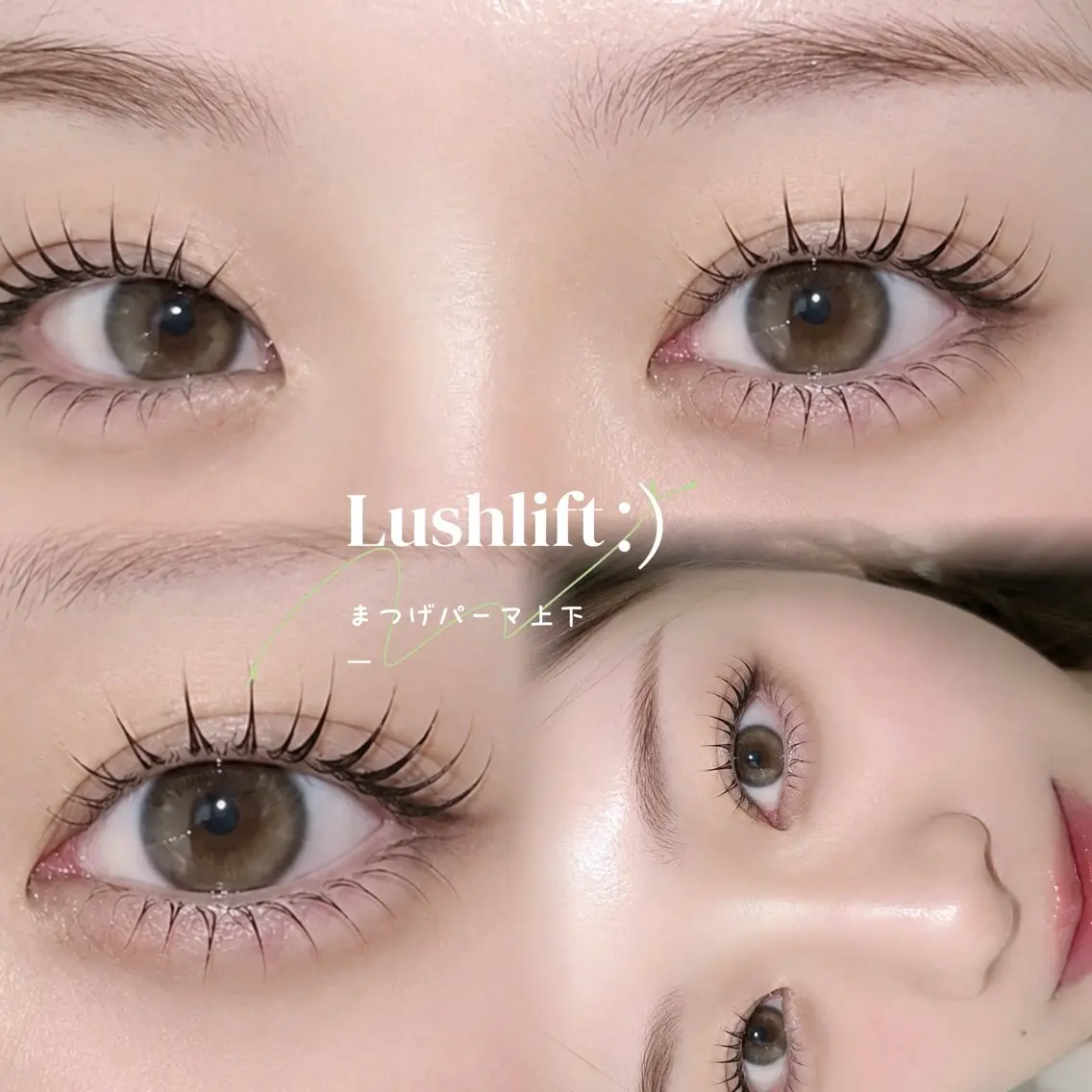 【 新規 】まつげパーマ上下 ೀ           ¥9,900···▸﻿¥5,500の写真