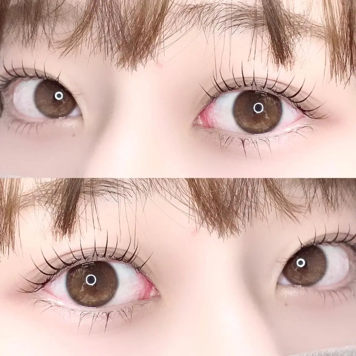 マツエク・マツパ eyelash "Koa"🕊🤎のマツエク・マツパデザイン