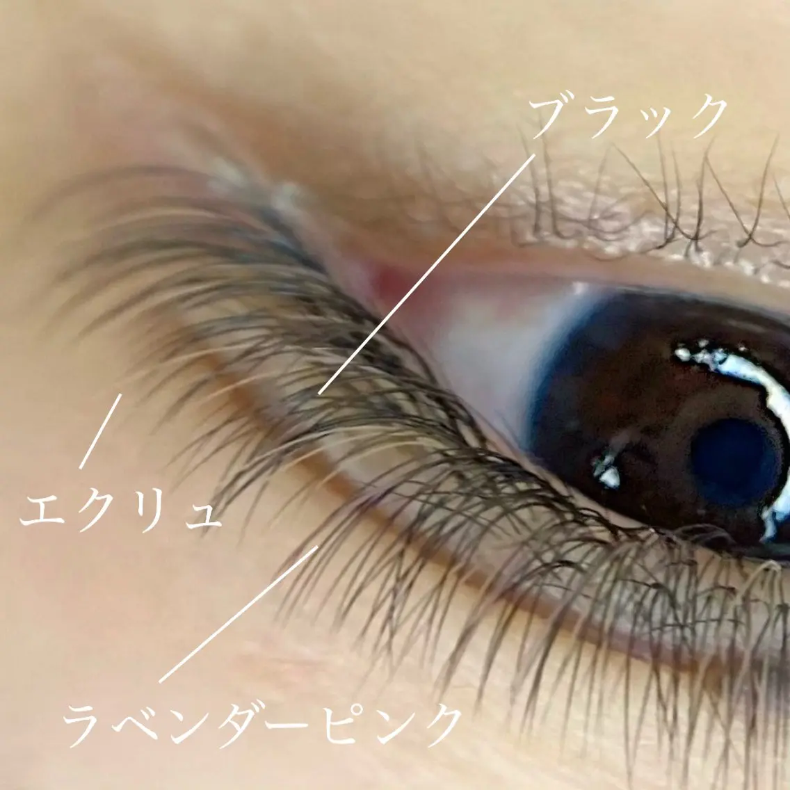 マツエク・マツパ nikatto あかねのマツエク・マツパデザイン