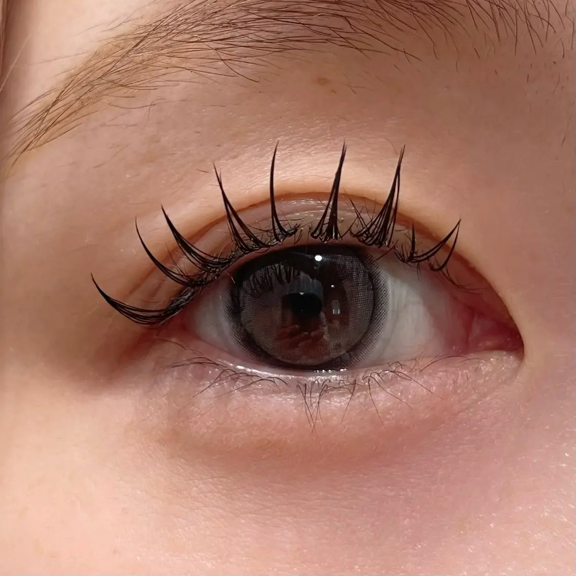 フラットラッシュ100本の写真