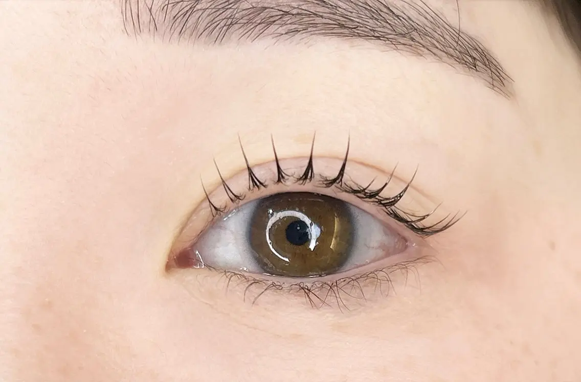 マツエク・マツパ Eyelash Lily🤍花塚のマツエク・マツパデザイン