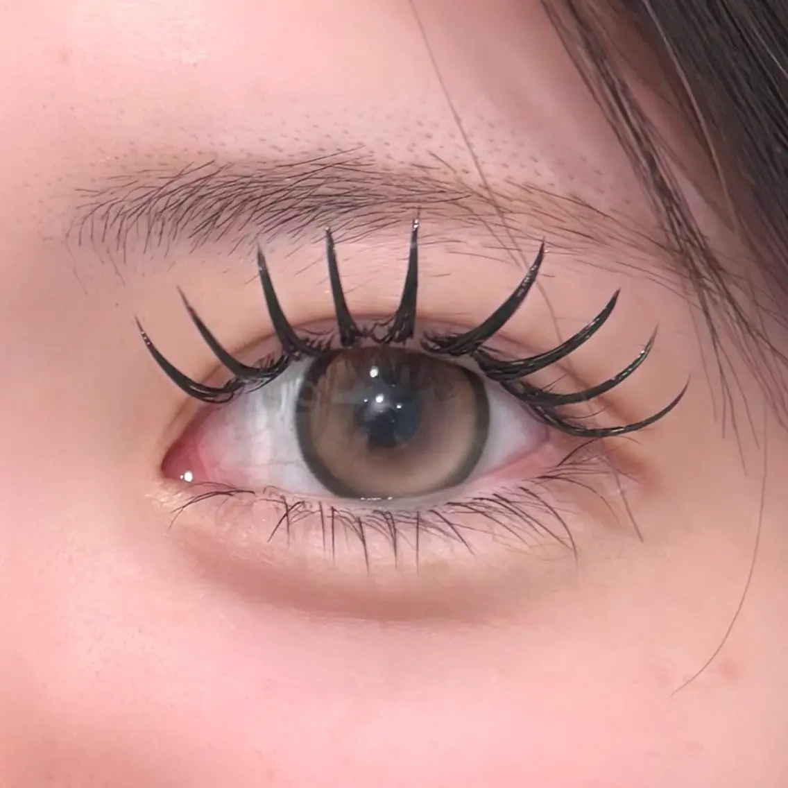 ダブルフラットラッシュ🎀【120,140束】の写真