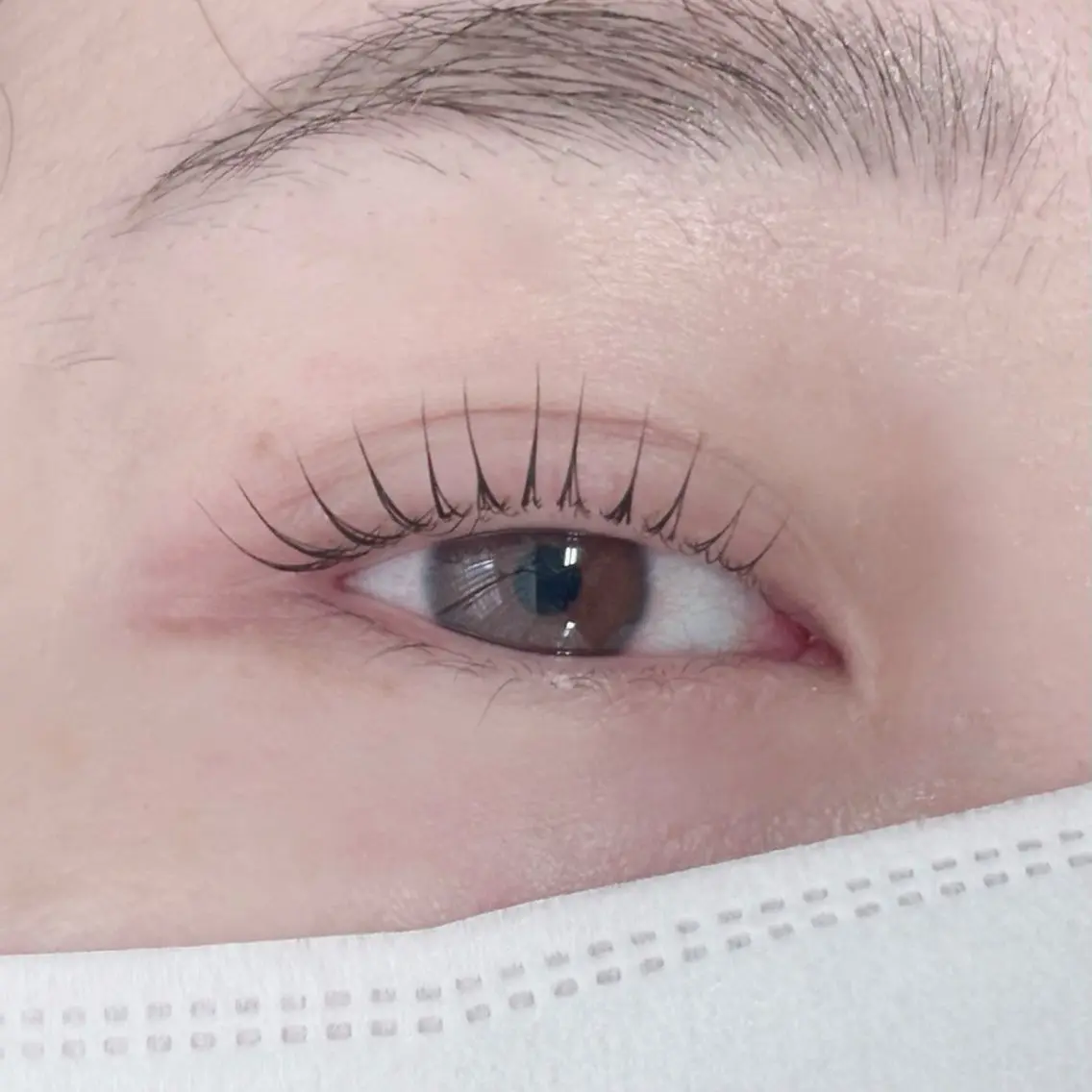 マツエク・マツパ TOPBROW 一愛のマツエク・マツパデザイン