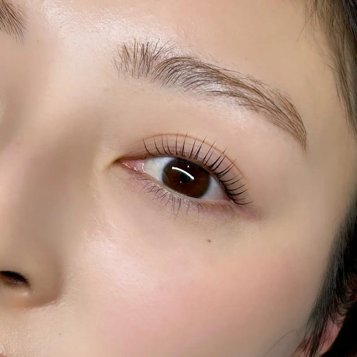 5/15限定！eyelash liftの写真