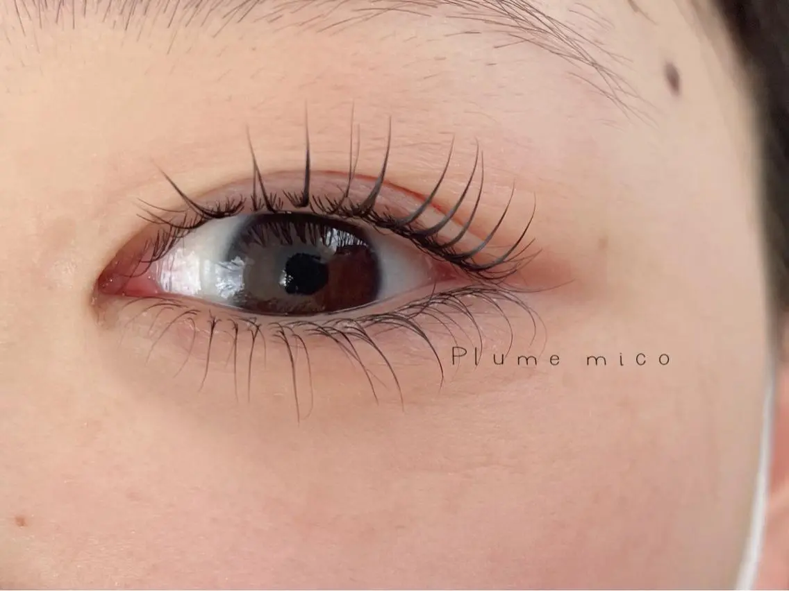 マツエク・マツパ マツパ Plume micoのマツエク・マツパデザイン