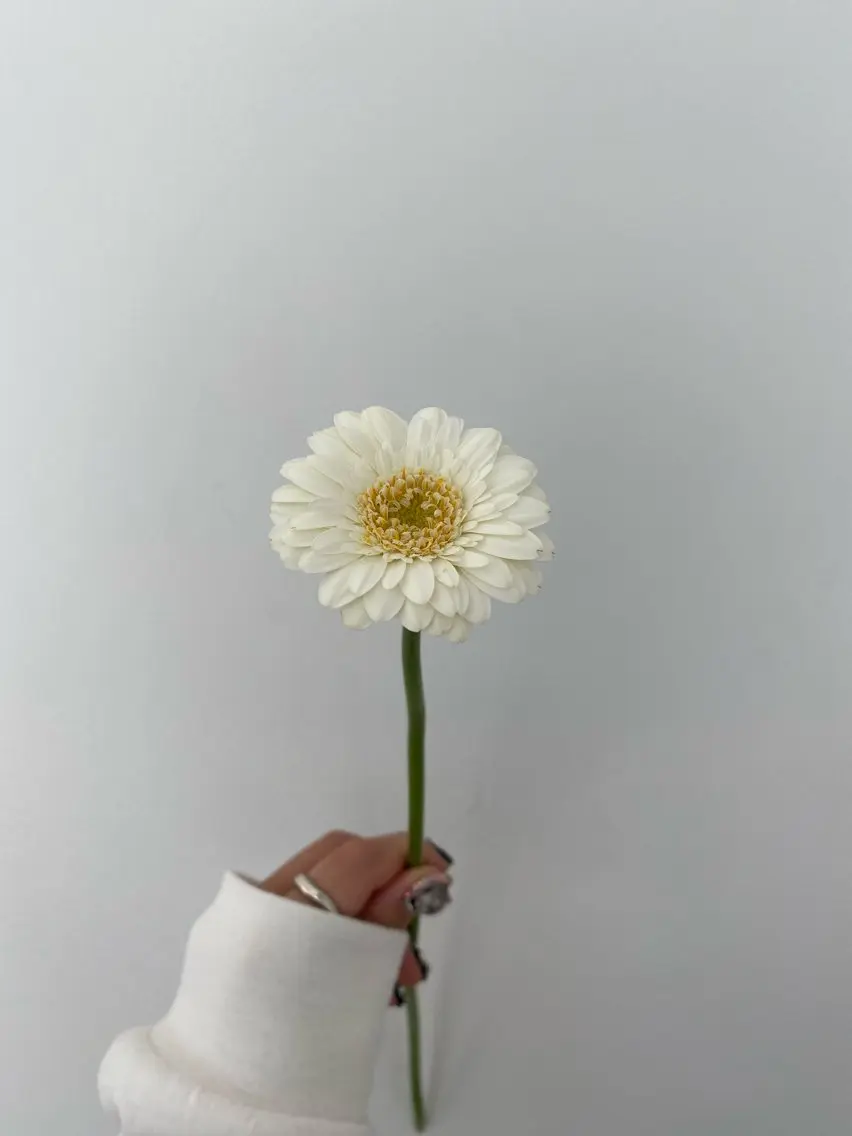 ヘアカラー トリートメント 🌻花屋併設🌻濱 幸帆のヘアスタイル