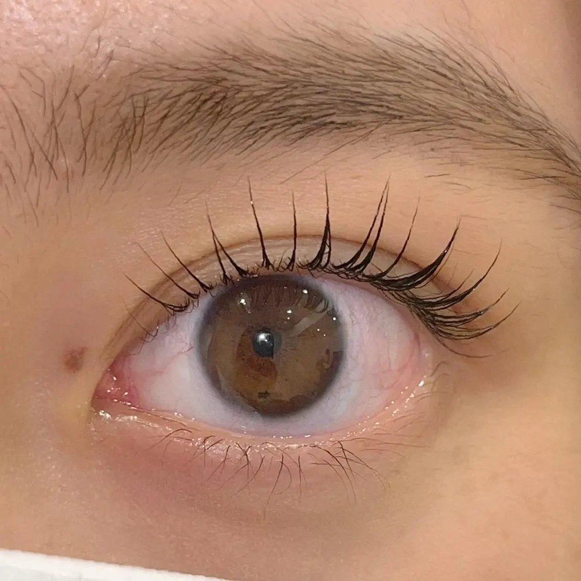 マツエク・マツパ パリジェンヌラッシュリフト まつげパーマ ai一重専門🎀束感 まつげ🫧表参道の眉毛・アイブロウイメージ