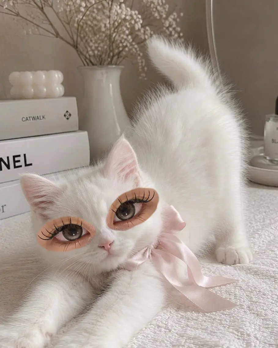 マツエク・マツパ Dカール Re:eyes Makiのマツエク・マツパデザイン