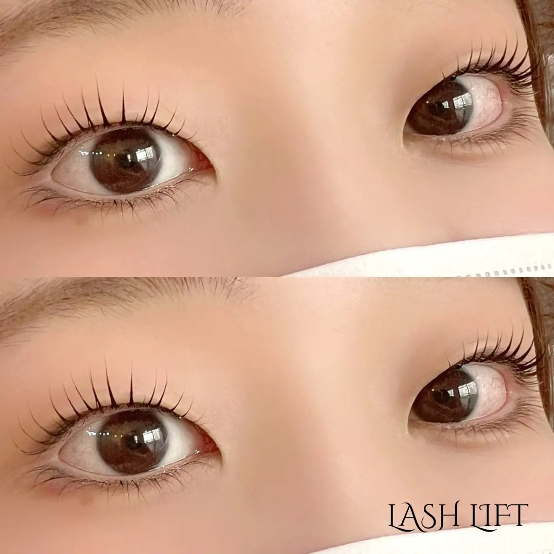 ご新規様限定🆕ラッシュリフト上下【エクステオフあり】の写真