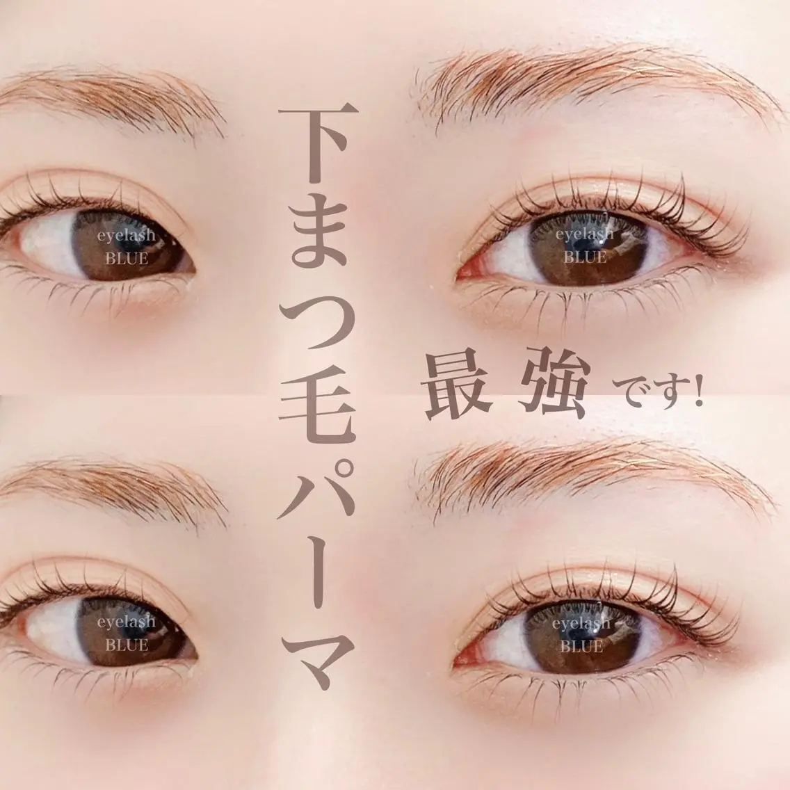 🩵🫧上下パーマ！パリジェンヌ変更➕1000円🫧🩵の写真