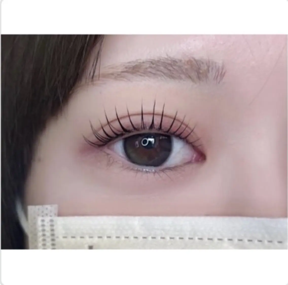 まつげパーマ 上 ＋ 眉waxスタイリング  🩶口コミご協力特典♡アイパックの写真