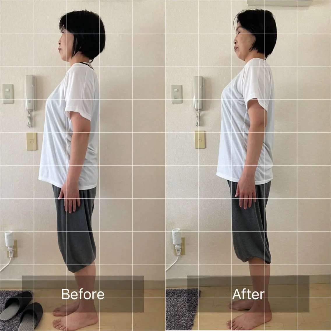めぐらせの 森のその他イメージ