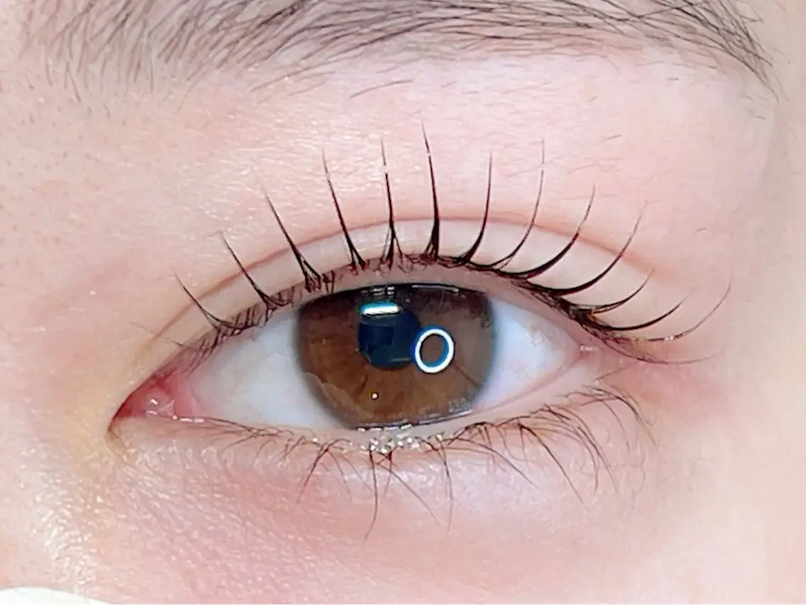 【6月営業時間外】コンペ対策練習モデルさん募集🌼eyelash全国大会ファイナリストによる施術※すぐ予約でのご案内不可の写真