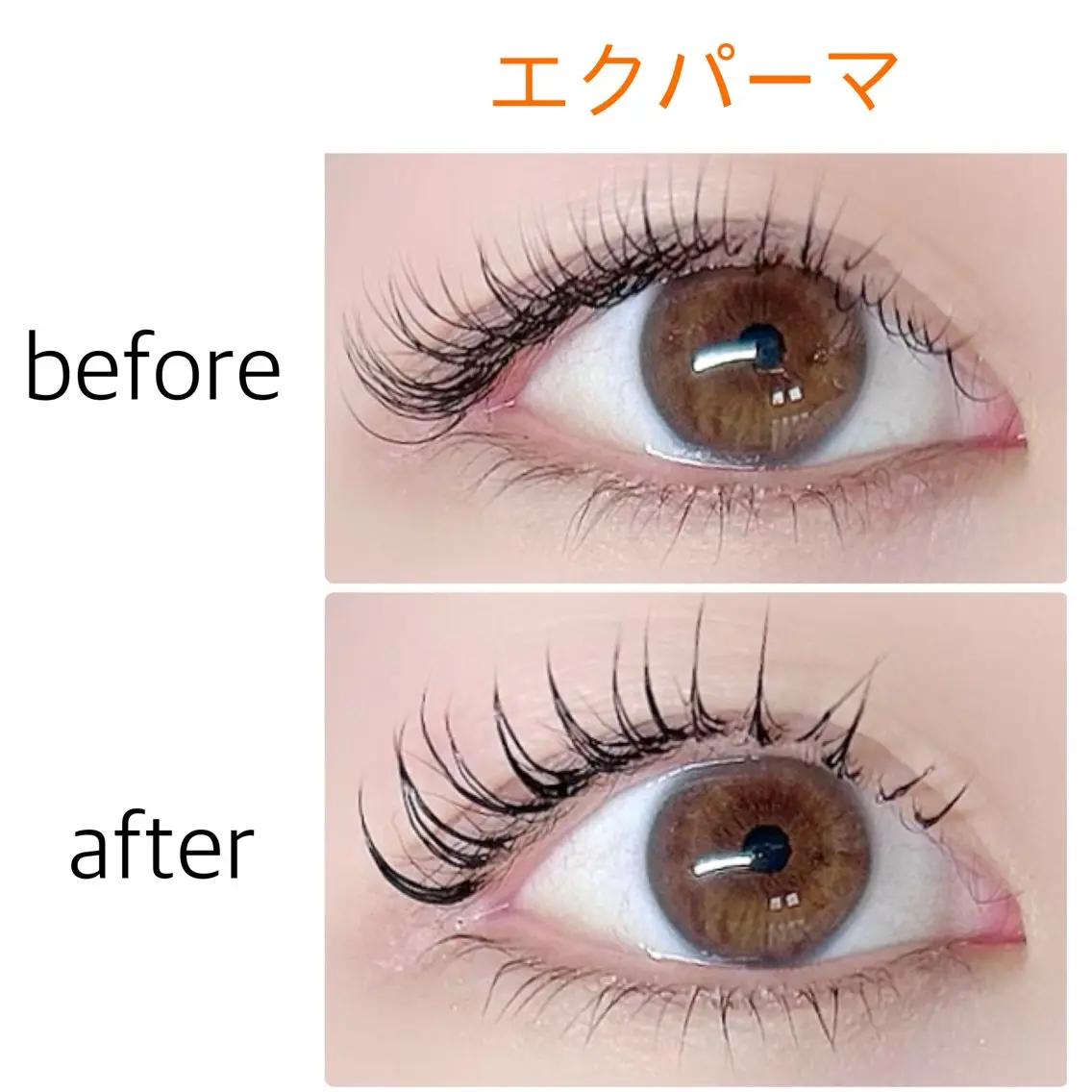マツエク・マツパ Cカール マツエク soposilma 🧸今季OPENのマツエク・マツパデザイン