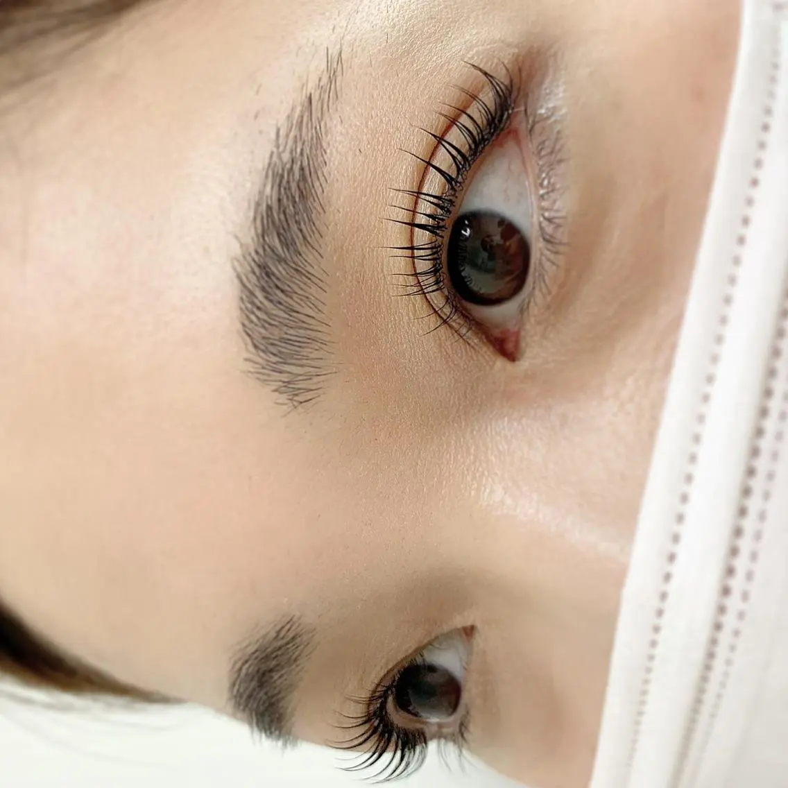 次世代ラッシュリフトの写真
