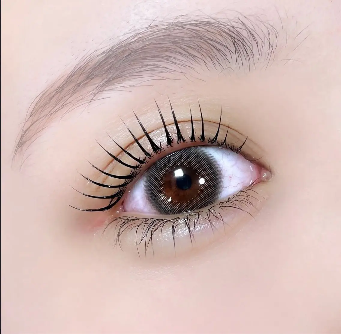 マツエク・マツパ 束感まつ毛 韓国風マツエク まつげパーマ マツパ Amane🌱 Eyelashのマツエク・マツパデザイン