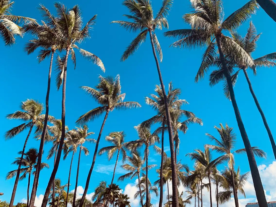 𝐘𝐎𝐒𝐇𝐈 𝐌𝐈🌞🏝のマツエク・マツパデザイン