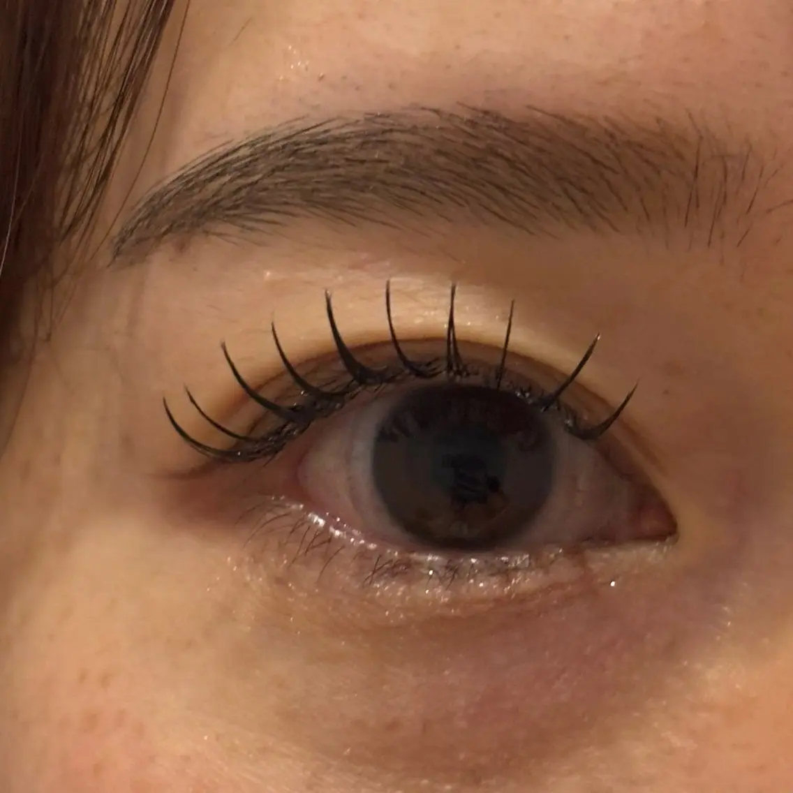 マツエク・マツパ フラットラッシュ Daisy Lash 梅田店のマツエク・マツパデザイン