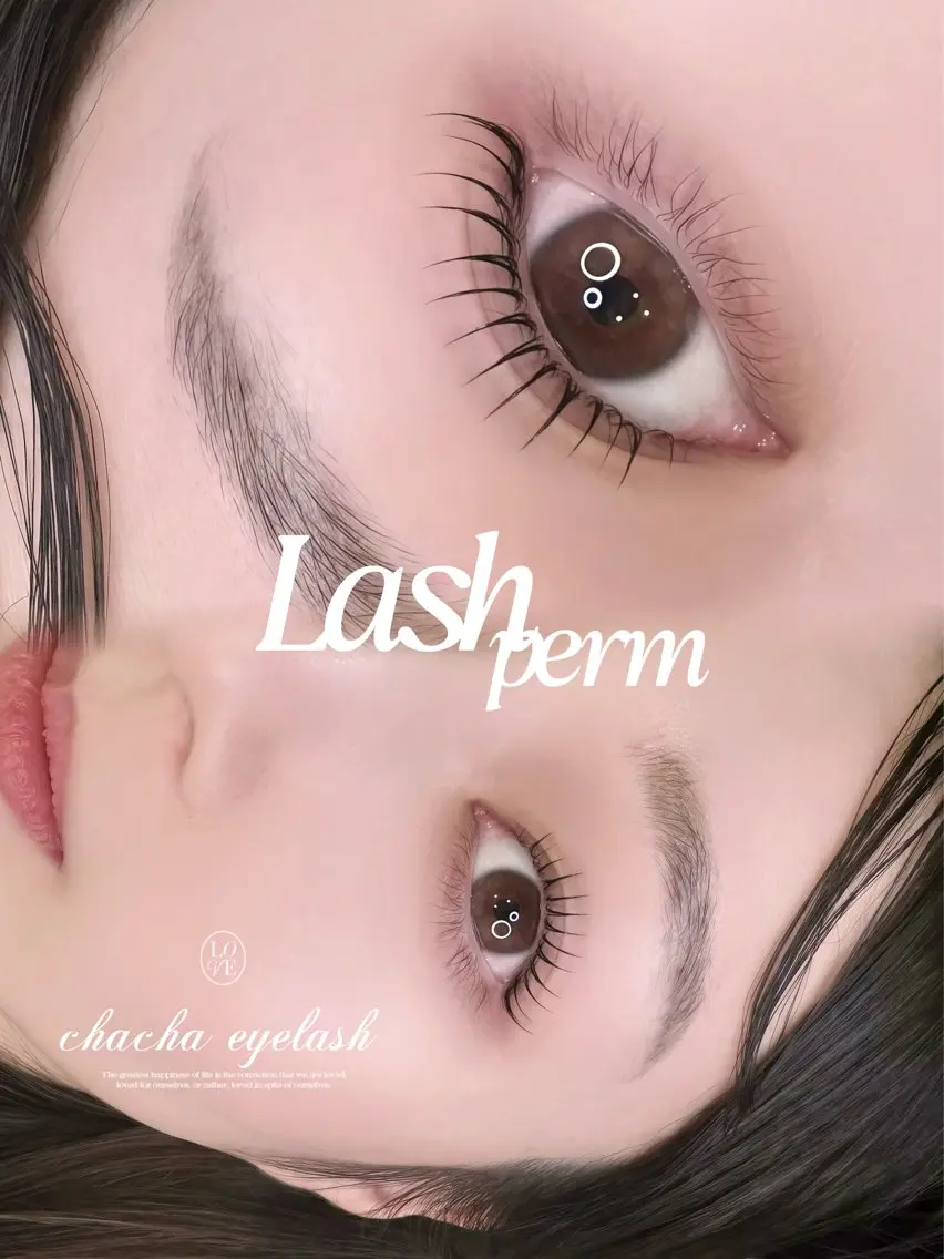 【📣本日15:00急募❣️】無料まつげパーマモデル🧴✨️韓国束感コーティング🎀トリートメント付き🤍の写真