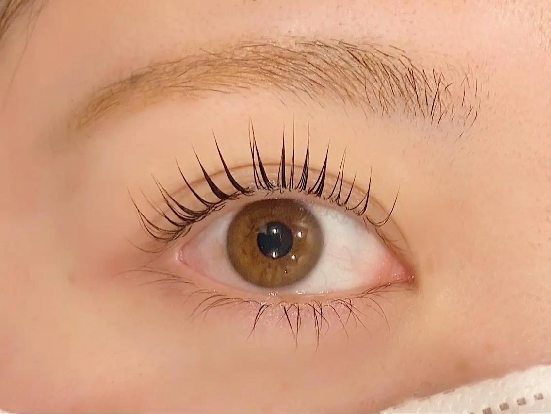 マツエク・マツパ マツパ eyelist 大垣の眉毛・アイブロウイメージ
