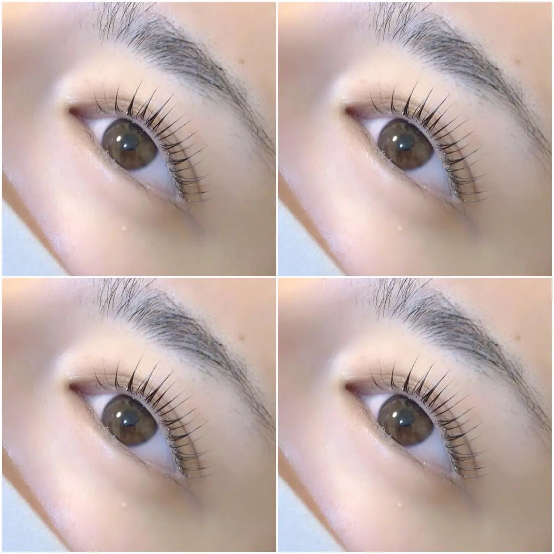 マツエク・マツパ パリジェンヌラッシュリフト 《岐阜市》eye suzukaのマツエク・マツパデザイン