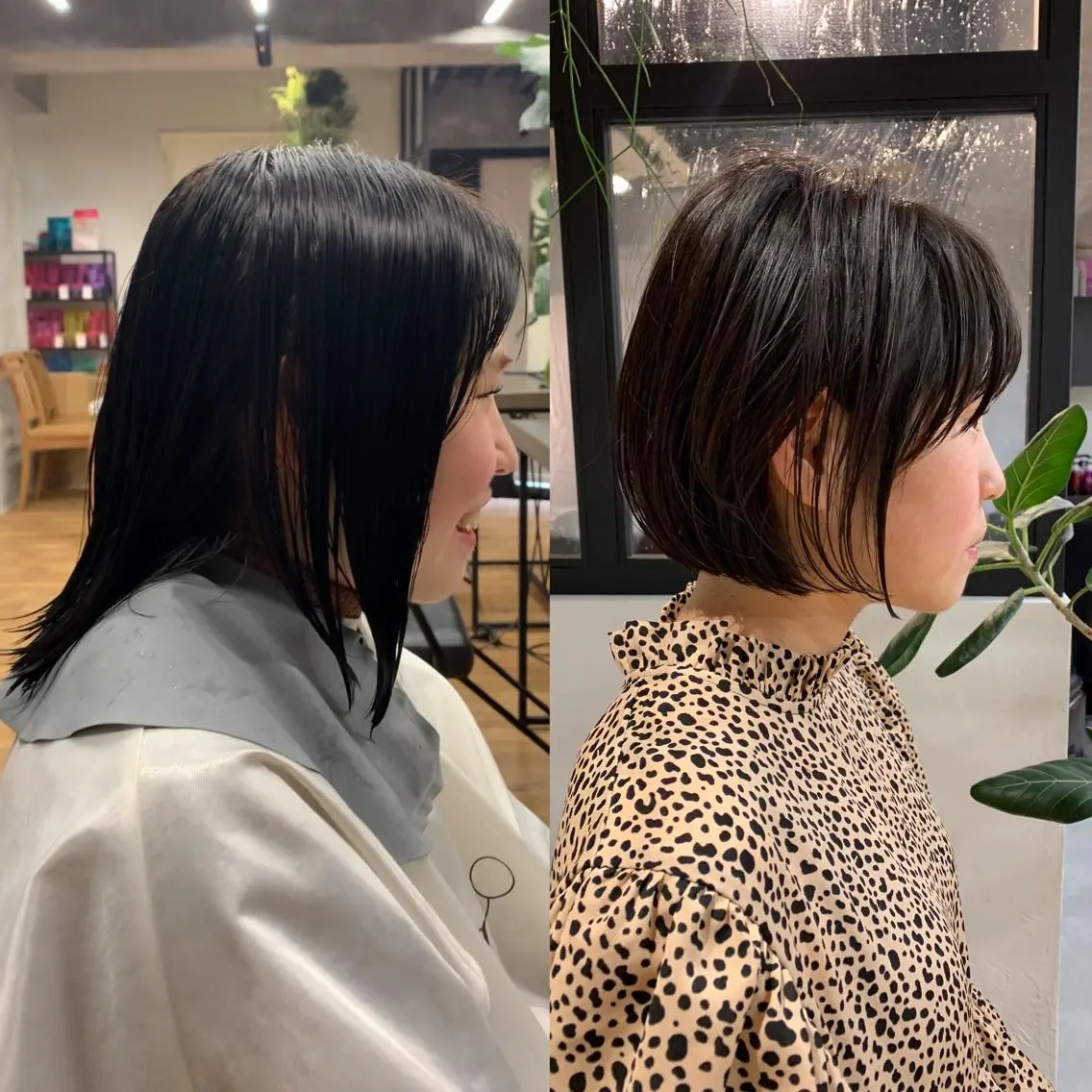 ショート ショートボブ ボブ ショートヘア 小顔カット SNS撮影用 髪質改善モデル募集のヘアスタイル
