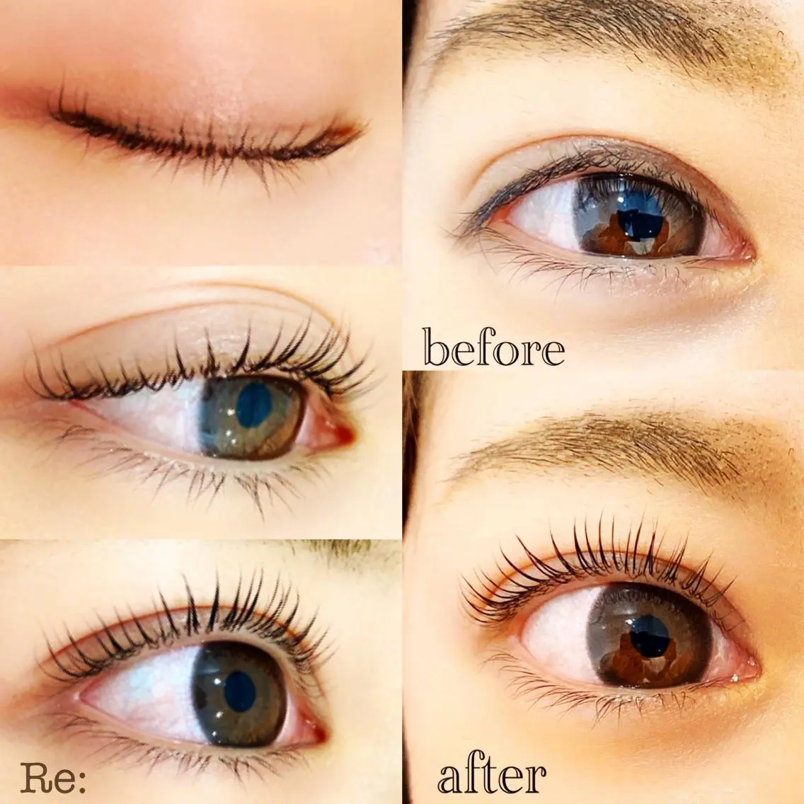 マツエク・マツパ 目尻長め ナチュラル 一重×まつ毛パーマ マツパ Lash Re:のマツエク・マツパデザイン