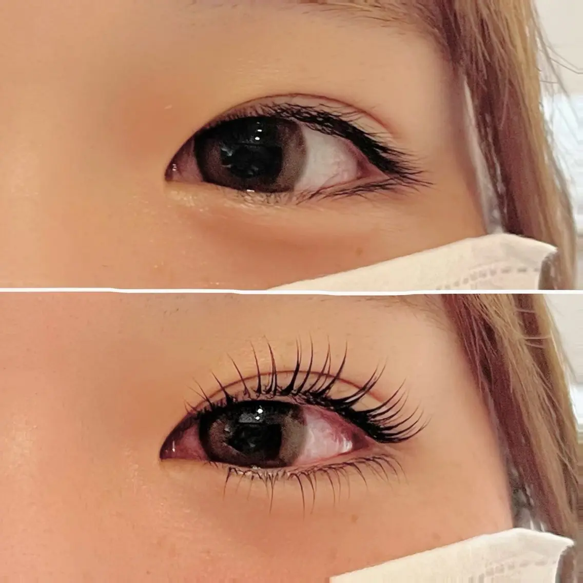 【限定価格】まつ毛パーマ上下の写真