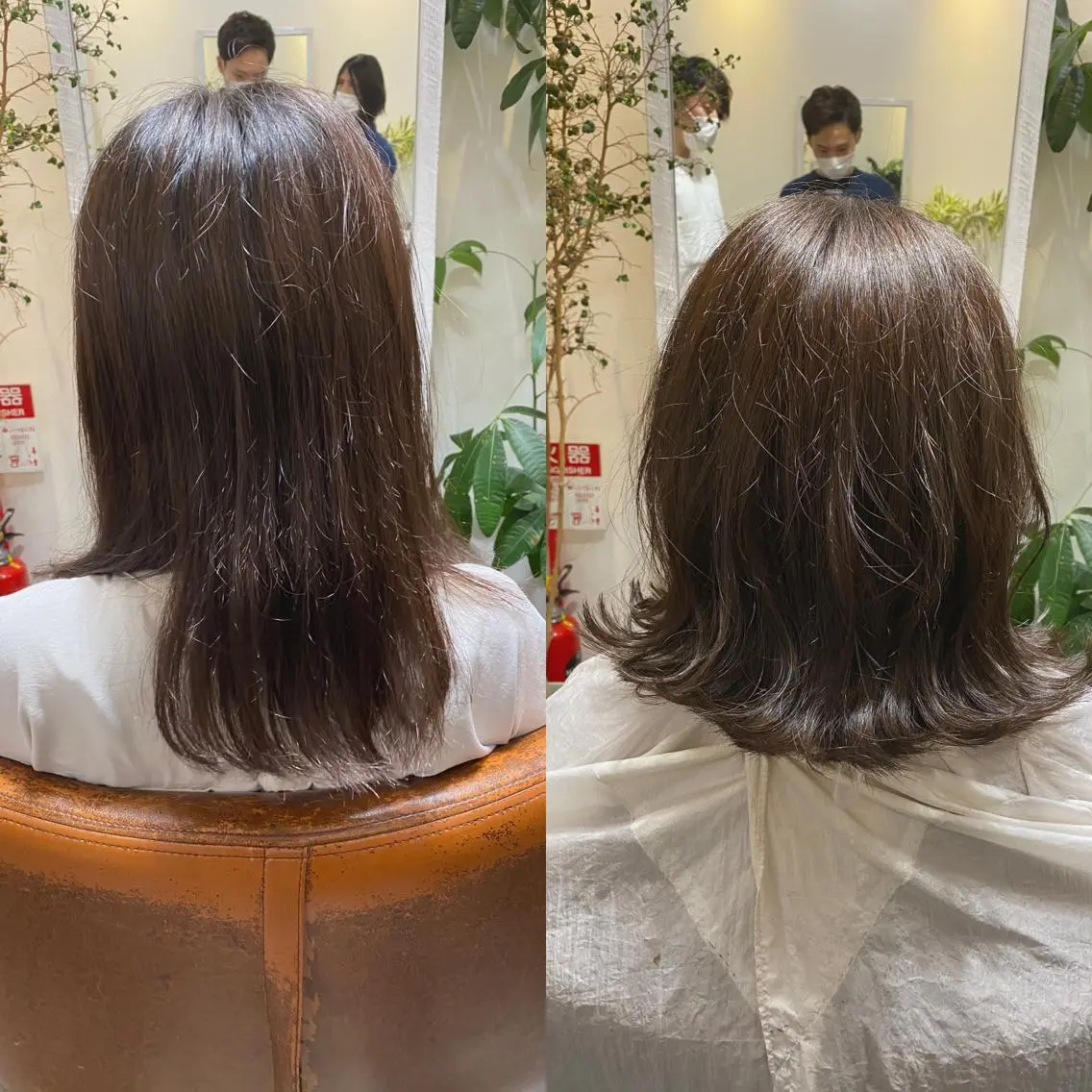新規【平日午後限定】ミニモだけの特別クーポン⭐️カット¥5400→¥4280の写真