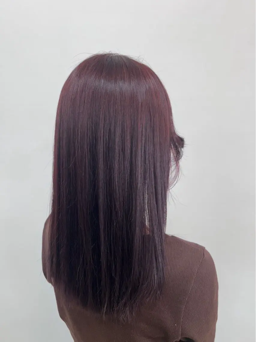 セミロング カラー ディルガ ワッセのヘアスタイル