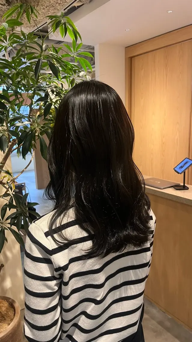 カラー 黒髪 透明感カラー 波多野 聖のヘアスタイル
