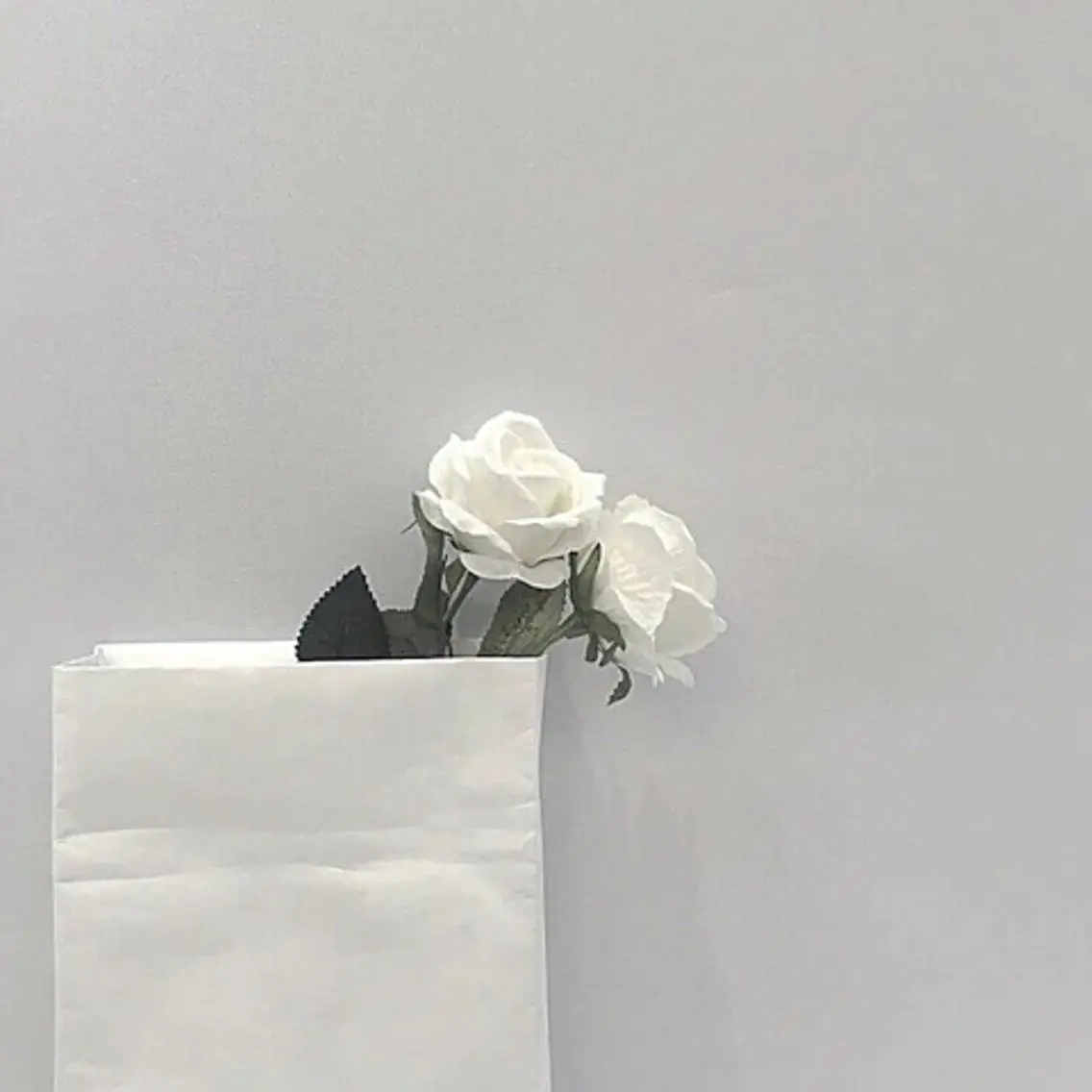 🩶次回予約⛓️アイブロウwax＋カラー🩶の写真