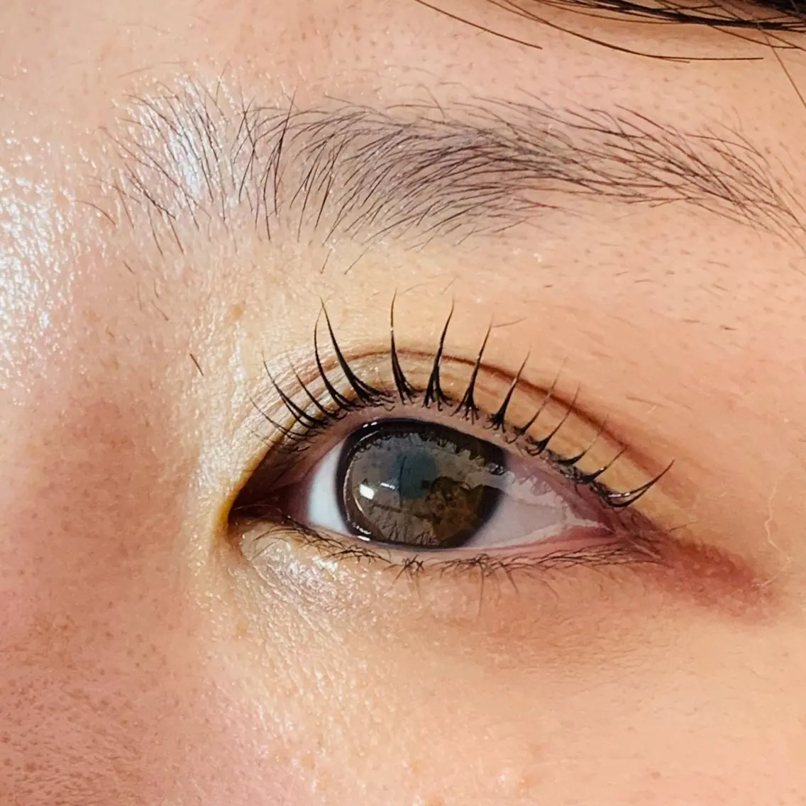 ❤️パーソナルラッシュリフト（まつ毛パーマ、パリジェンヌ、メーテル等）➕美容液👀❤️の写真