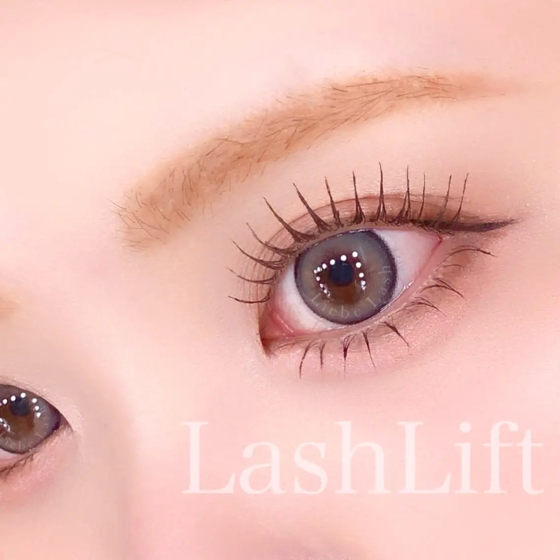 【❣️期間限定❣️】ラッシュリフト♡アイシャンプー＆コーティング付きの写真