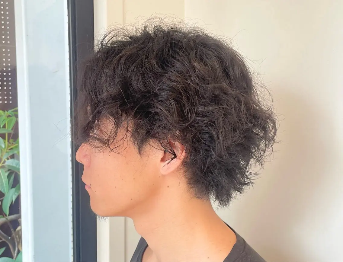 パーマ メンズ メンズパーマ メンズウルフカット ウルフカット ヒナ/酸性ストレート ・艶カラー🌿のヘアスタイル