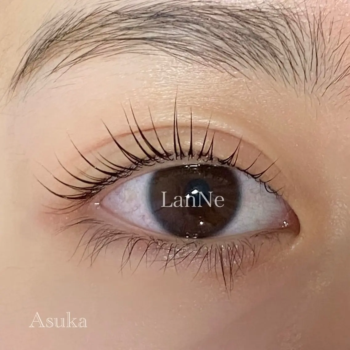 マツエク・マツパ マツパ LanNe Asukaの眉毛・アイブロウイメージ