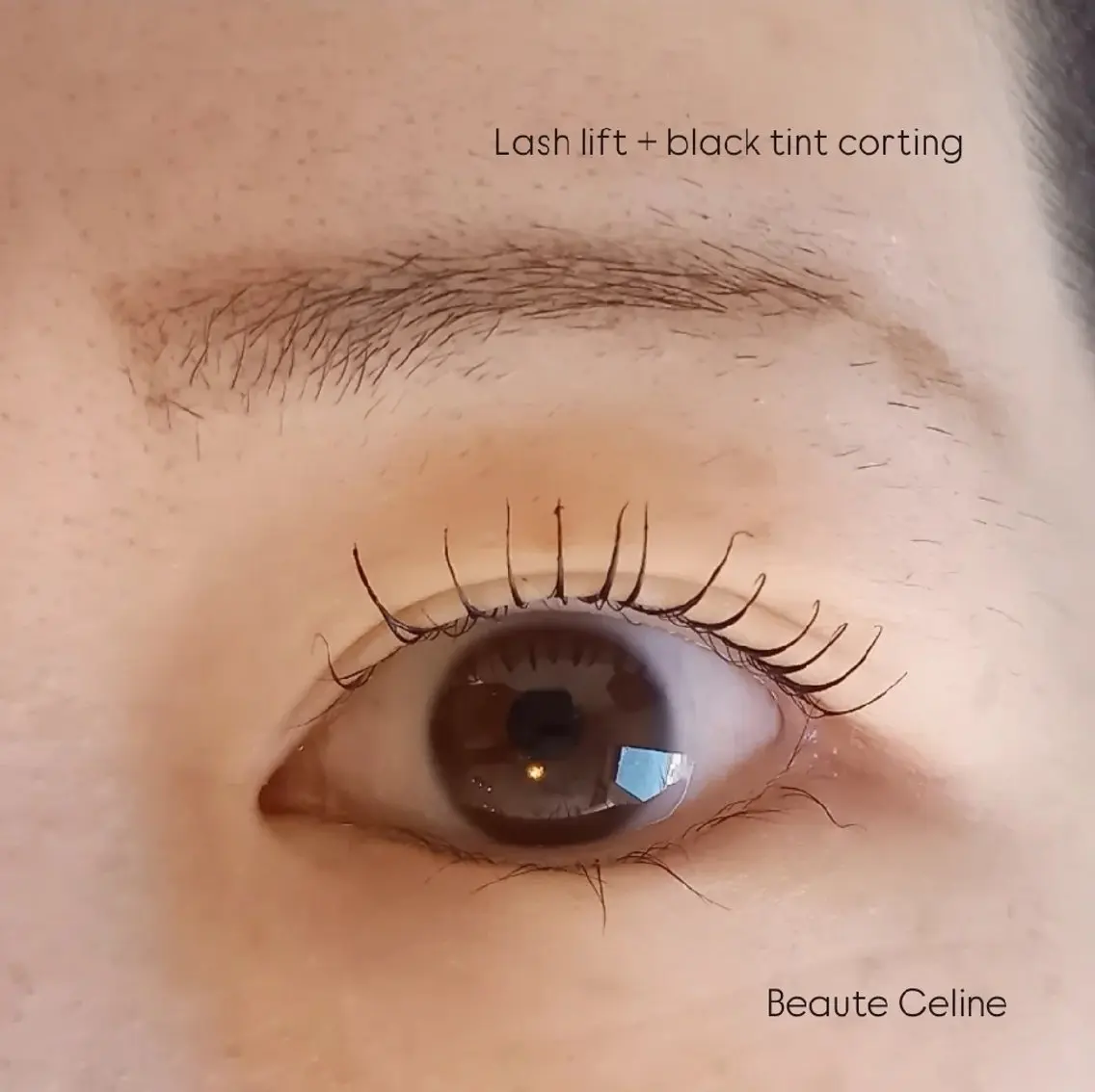 マツエク・マツパ マツパ LED✨beaute Celine🌛🌹のマツエク・マツパデザイン