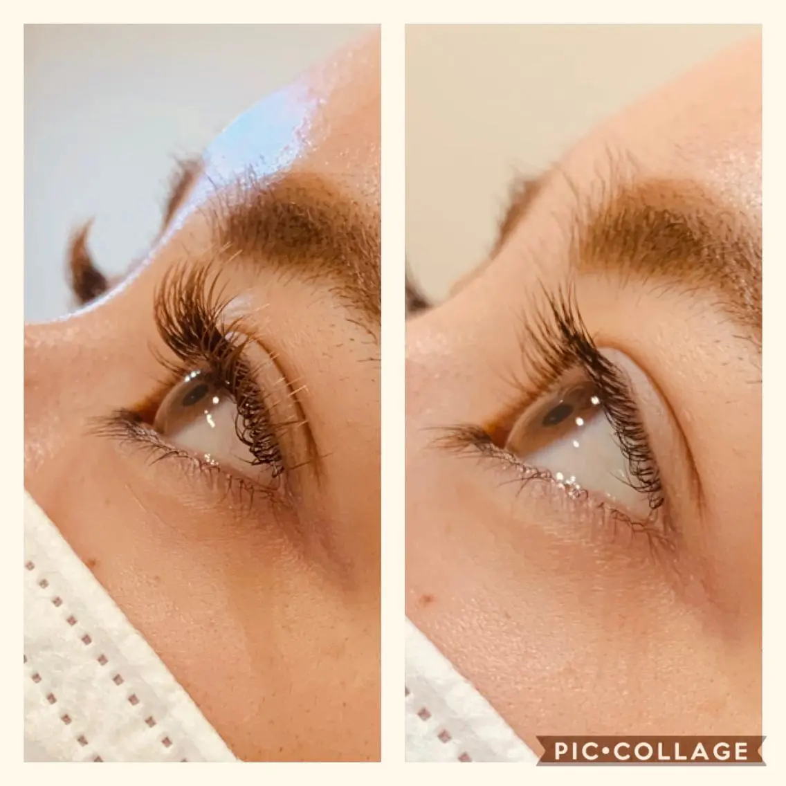 マツエク・マツパ カラーマツエク Daisy hair eyelashのマツエク・マツパデザイン