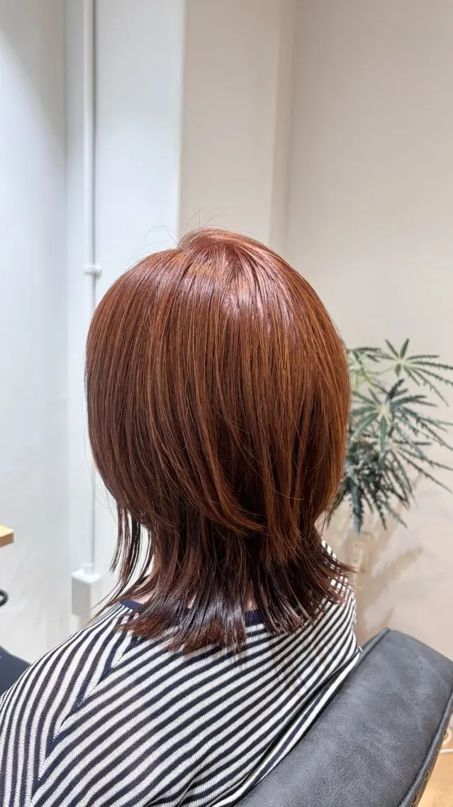 カラー🎨 ➕ シャンプー🧴の写真