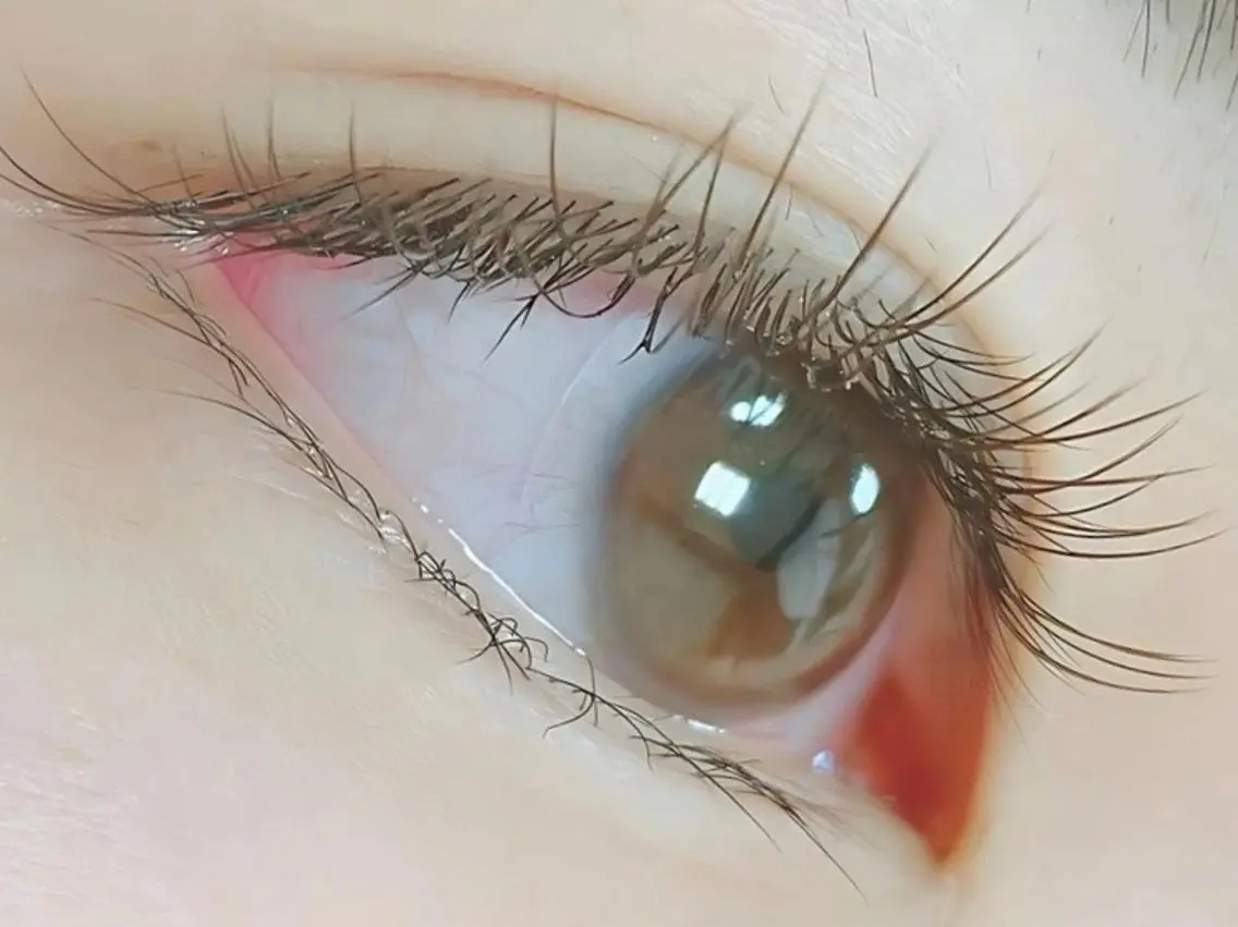 マツエクリペア⭐︎50本までの写真